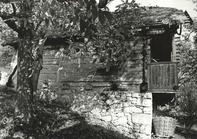 Martinski Vrh (Ribnik) - Tradicijska kuća, zapadno pročelje