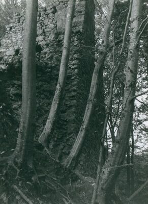 Zelingrad - Stari grad Zelingrad, jugoistočni zid