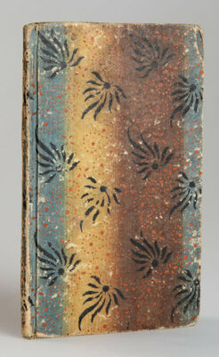 Mali zemljopis za Početnike po Antunu Rožiću. U Varašdinu. Tiskom kr. povl. tiskarne Josipa Platzera.