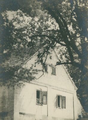 Vrbovec - Gospodarska zgrada, zabatno pročelje