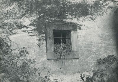 Bela (Novi Marof) - dvor II, detalj pročelja