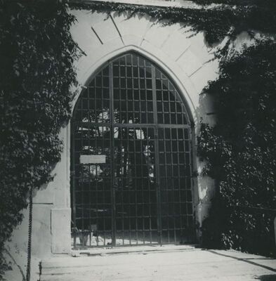 Trakošćan - dvorac, vrata od kovanog željeza