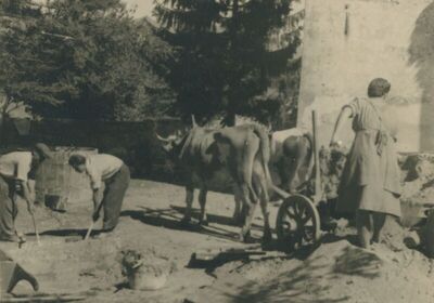 Belec (Zlatar) - Župna crkva Blažene Djevice Marije Snježne, popravak, cinktor