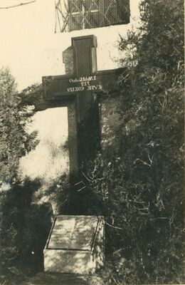 Varaždinske Toplice - grob Antuna Kukuljevića Sakcinskog