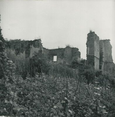 Novi Dvori Klanječki (Klanjec) - Dvor Erdödya, ruševina