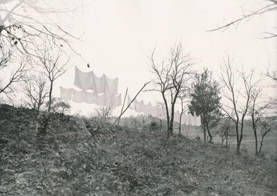 Žakanje - Podvorci - Panorama