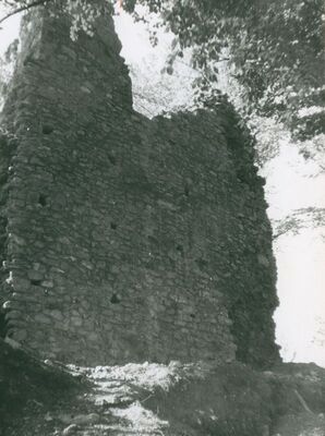 Zelingrad - Stari grad Zelingrad, sjeveroistočni zid