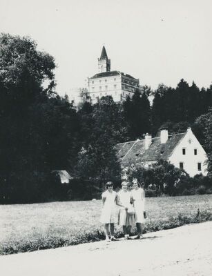 Trakošćan - dvorac, pogled s ceste