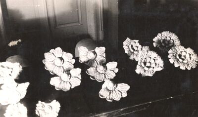 Januševec - Dvorac Januševec, rozete s kupole