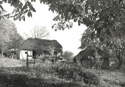 Martinski Vrh (Ribnik) - Tradicijska kuća, uže i dulje pročelje