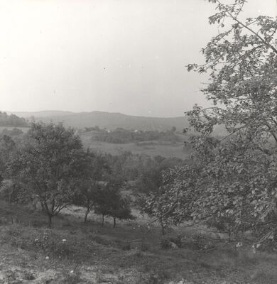 Donji Hruševec - Panorama