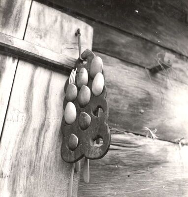 Gustelnica - Žličnjak