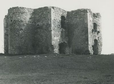 Konjščina - Stari grad (Kaštel Konjskih), vanjština