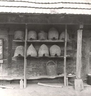 Strezoj - Pčelinjak