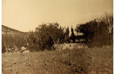 Split, Crikvine-Kaštelet