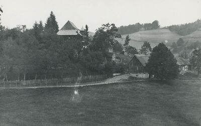Škarićevo Donje (Krapina) - Kurija Škarićevo, situacija
