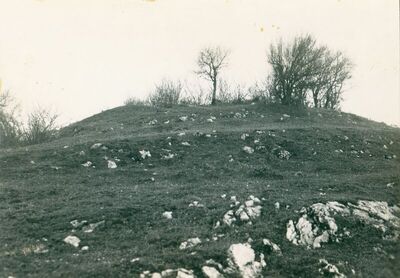 Kompolje - Crkvina, opća situacija