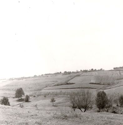 Lijevi Štefanki - Panorama