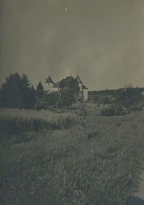 Bisag - dvor, nizinski burg