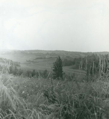 Vukomerić - Panorama