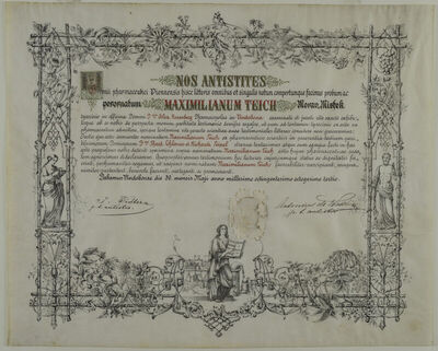 Tirocinijska diploma Maximiliana Teicha