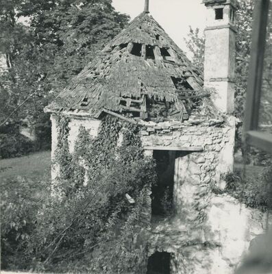 Bela (Novi Marof) - dvor