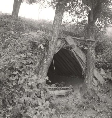 Strezoj - Trapa za krumpir