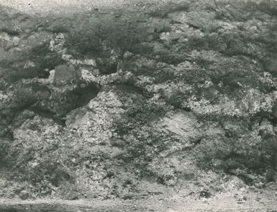 Varaždinske Toplice - Arheološka iskopavanja