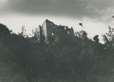 Grtovec (Budinščina) - Srednjovjekovni grad Milengrad