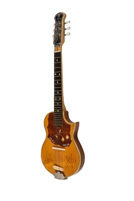 Tambura bisernica Julija Njikoša