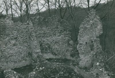 Zelingrad - Stari grad Zelingrad, unutrašnjost stambene kule