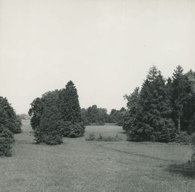 Križovljan Radovečki - dvor, park