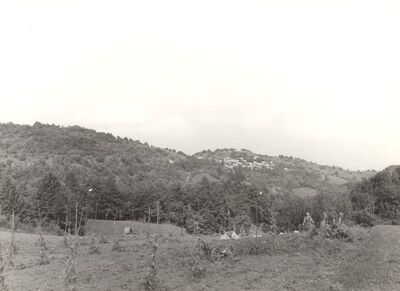 Novo Selo - Panorama