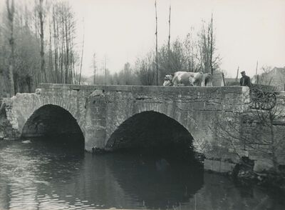 Jalkovec (Varaždin) - stari most