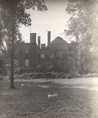 Januševec - Dvorac Januševec, pogled na centralnu kupolu