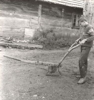 Bukovčak (Velika Gorica) - Plug