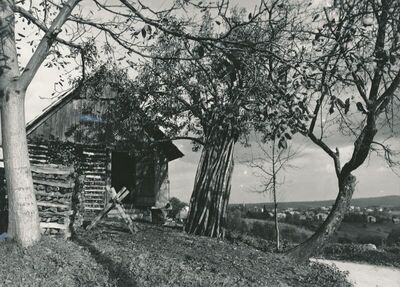 Vrhovac (Ozalj) - Tradicijska kuća, zapadno pročelje