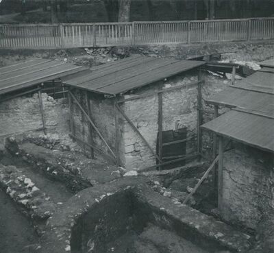 Varaždinske Toplice - terme u parku, zimska zaštita