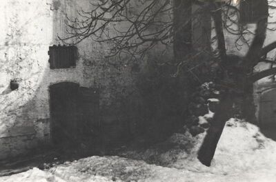 Ribnik - Stari grad, detalj