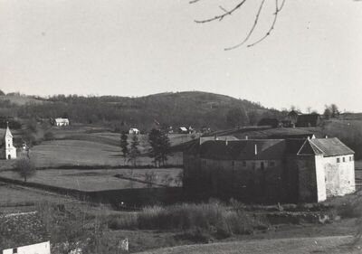 Ribnik - Stari grad