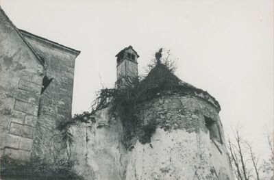 Bela (Novi Marof) - dvor I