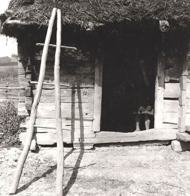 Lijevi Štefanki - Drvene ljestve