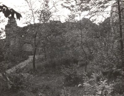 Samobor - Stari grad, pogled prema ulazu