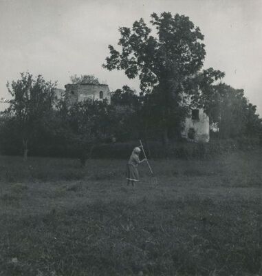 Bisag - dvor, ruševine