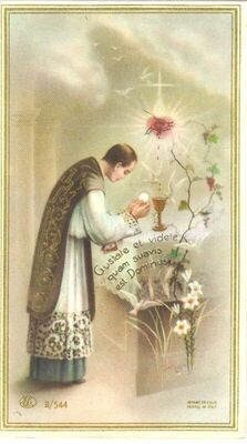 Uspomena na 25 godina misništva kapucina Anđelka Kosa