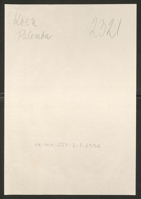 Koen, Palomba, 1915. Policijski karton