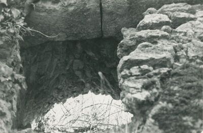 Vinica Breg (Vinica) - ruševine srednjovjekovnog grada