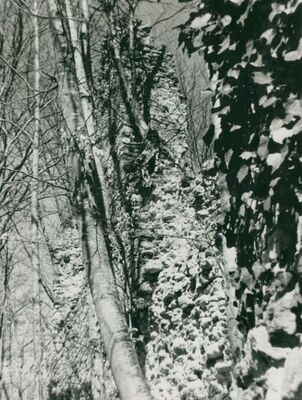 Zelingrad - Stari grad Zelingrad, sjeverne obrambene zidine