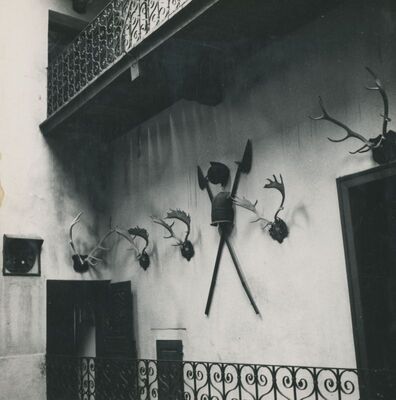 Trakošćan - dvorac, unutrašnje dvorište, detalj