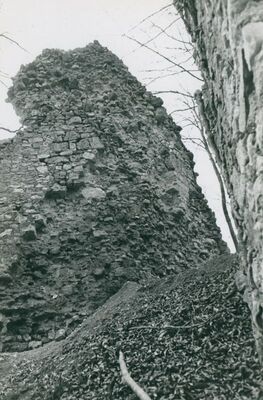 Zelingrad - Stari grad Zelingrad, stambena kula